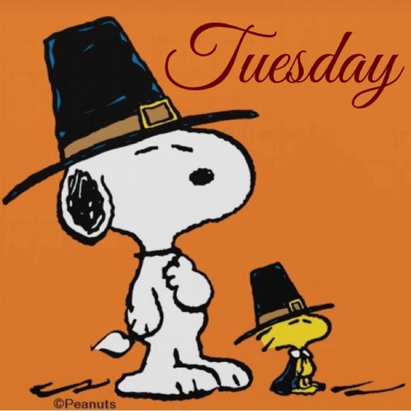 Tuesday - Picture 1 of 16